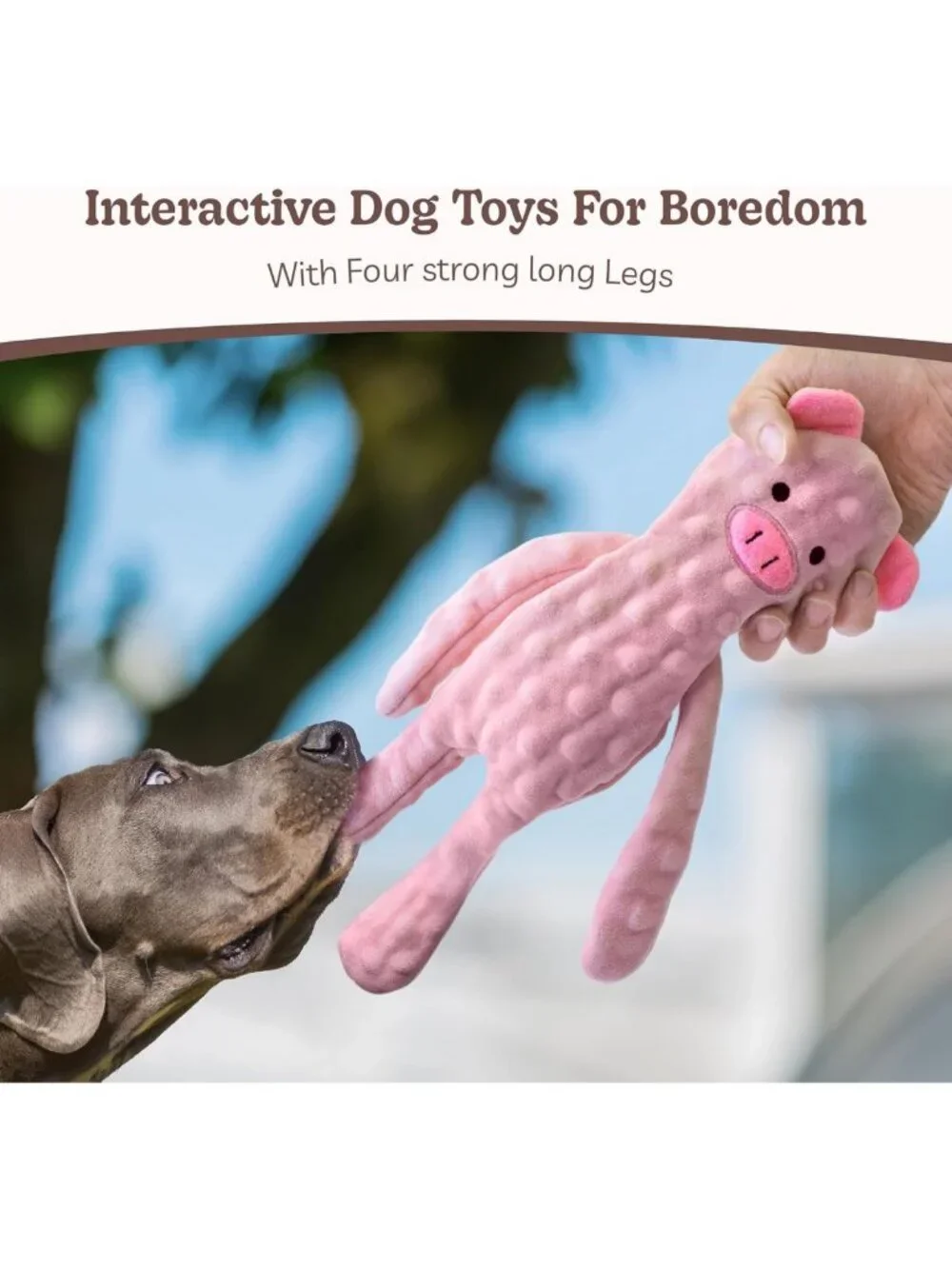 Interactive Crinkle Dog Toys 5 Pack - No Stuffing, Squeaky & Teething Fun!